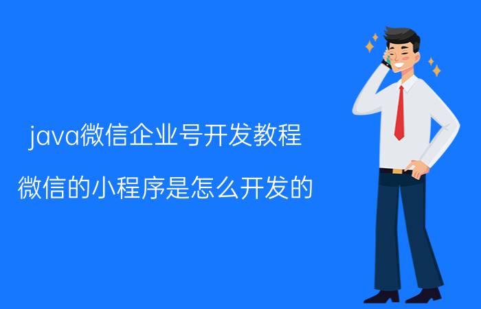 java微信企业号开发教程 微信的小程序是怎么开发的？